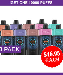 IGET ONE 12000 PUFFS – 10 PACK