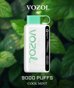VOZOL COOL MINT – 9000 PUFFS