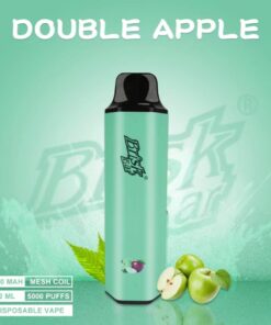 BRISK BAR DOUBLE APPLE – 5000 PUFFS