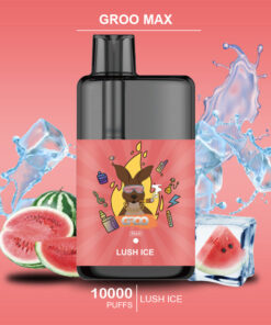 GROO MAX – LUSH ICE – 10000 PUFFS