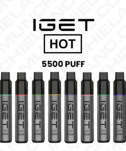 IGET HOT Disposable Vape Wholesale (5500 Puffs)