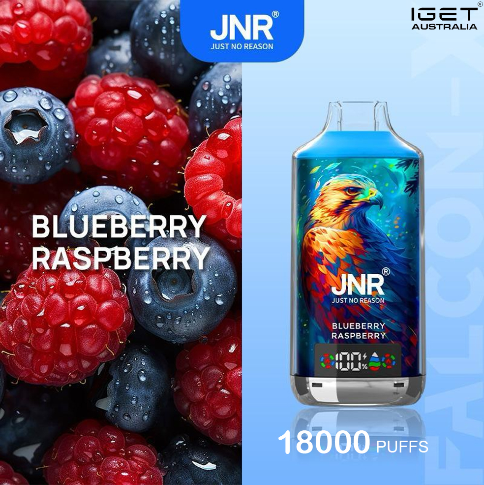JNR FALCON -X BLUEBERRY RASPBERRY – 18000 PUFFS