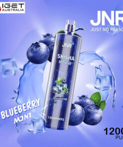 JNR SHISHA HOOKAH – BLUEBERRY MINT – 12000 PUFFS