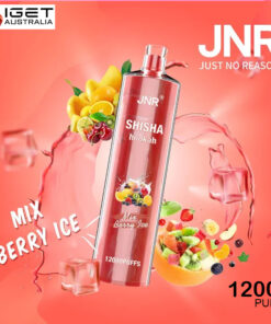 JNR SHISHA HOOKAH – MIX BERRY ICE – 12000 PUFFS