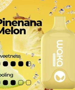 WAKA SMASH PINEANA MELON – 6000 PUFFS