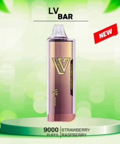 LV BAR STRAWBERRY RASPBERRY – 9000 PUFFS