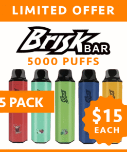 BRISK BAR – 5000 PUFFS – 5 PACK